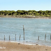 Foto de Puerto Real