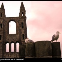 Foto de St. Andrews