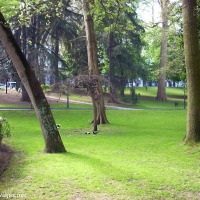 Foto de Oviedo