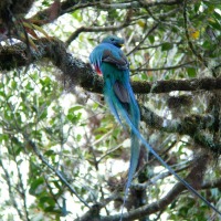 Foto de Cartago