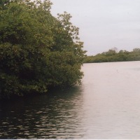 Foto de Bocas del Toro