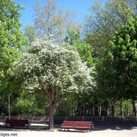 Foto de Oviedo