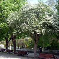 Foto de Oviedo
