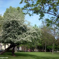 Foto de Oviedo