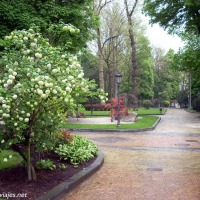 Foto de Oviedo