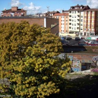 Foto de Oviedo