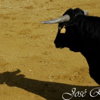 Foto de Algar