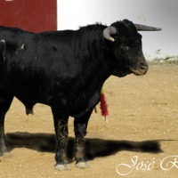 Foto de Algar