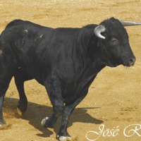 Foto de Algar