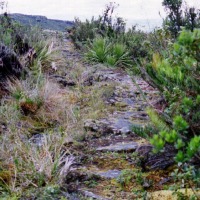 Foto de Villapinzón (Cundinamarca)