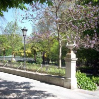 Foto de Oviedo