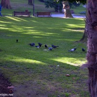 Foto de Oviedo
