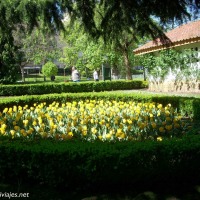Foto de Oviedo