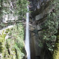 Foto de Angon