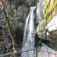 Foto de Angon