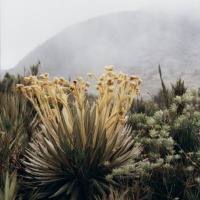 Foto de Villapinzón (Cundinamarca)