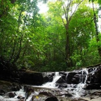 Foto de Puriscal (San José)