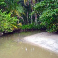 Foto de Talamanca (Limón)
