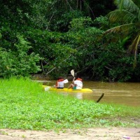 Foto de Talamanca (Limón)