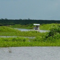 Foto de Rio Frio (Alajuela)