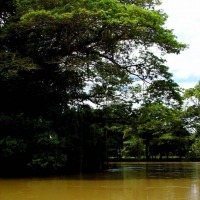 Foto de Rio Frio (Alajuela)