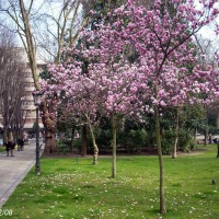 Foto de Oviedo