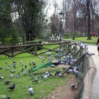 Foto de Oviedo