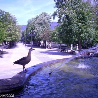 Foto de Oviedo