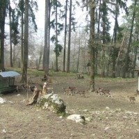 Foto de Annecy