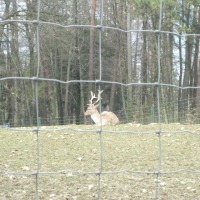 Foto de Annecy