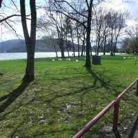Foto de Annecy