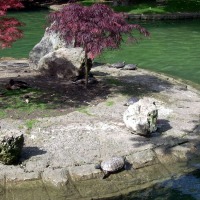 Foto de Oviedo