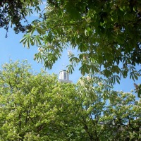 Foto de Oviedo