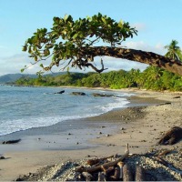 Foto de Guanacaste