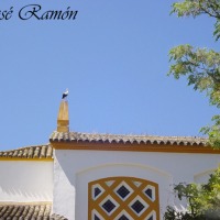 Foto de Jerez de la Frontera