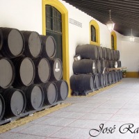 Foto de Jerez de la Frontera