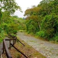Foto de Cartago