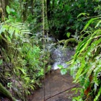 Foto de Cartago