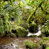 Foto de Cartago