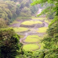 Foto de Cartago