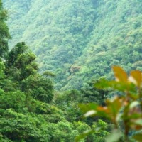 Foto de Heredia