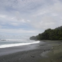 Foto de Peninsula de Osa, Puntarenas