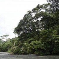 Foto de Peninsula de Osa, Puntarenas