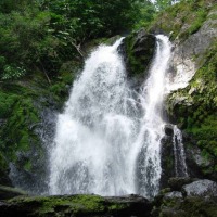 Foto de Peninsula de Osa, Puntarenas