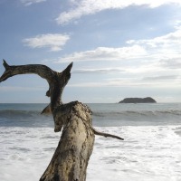 Foto de Parque Nacional Manuel Antonio (Puntarenas)