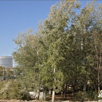 Foto de Zaragoza