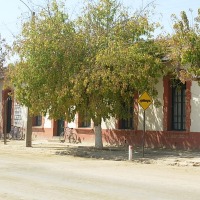 Foto de Catapilco