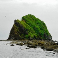 Foto de Bahia Salinas (Guanacaste)