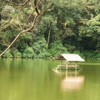 Foto de Fraijanes (Alajuela)