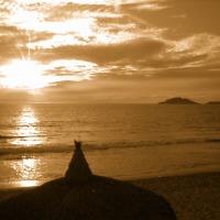 Foto de Mazatlan - Sinaloa